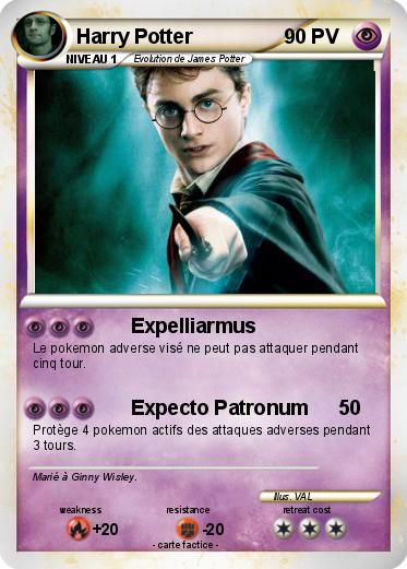 Pokemon Harry Potter