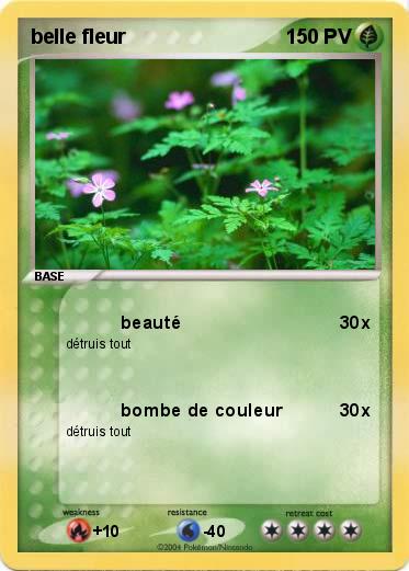 Pokemon belle fleur