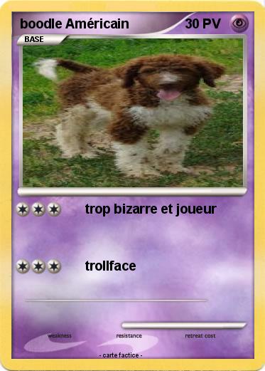 Pokemon boodle Américain