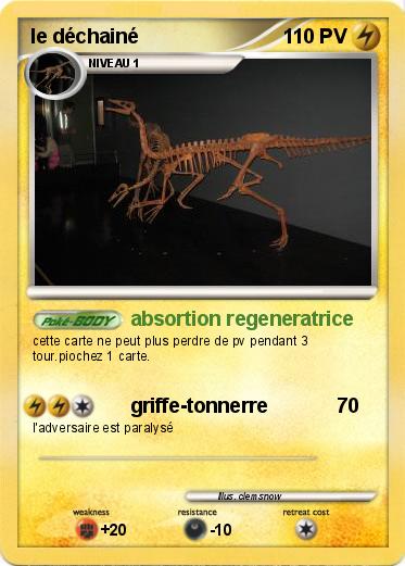 Pokemon le déchainé