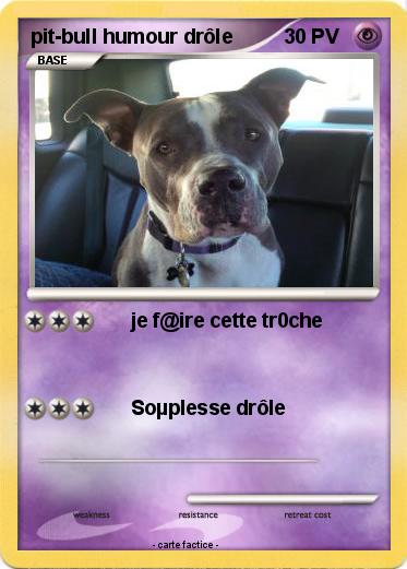 Pokemon pit-bull humour drôle