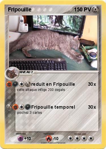 Pokemon Fripouille