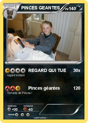 Pokemon PINCES GEANTES