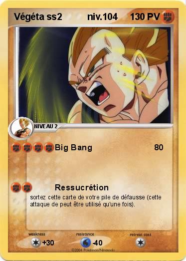 Pokemon Végéta ss2          niv.104