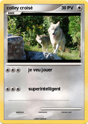 Pokemon colley croisé