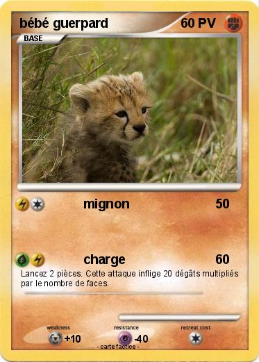Pokemon bébé guerpard