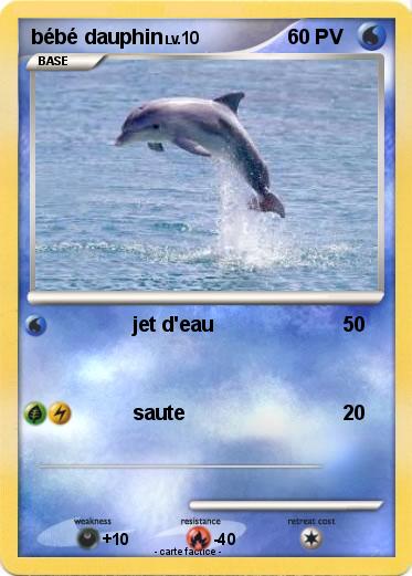 Pokemon bébé dauphin