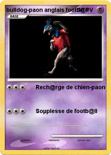 Pokemon bulldog-paon anglais footb@ll