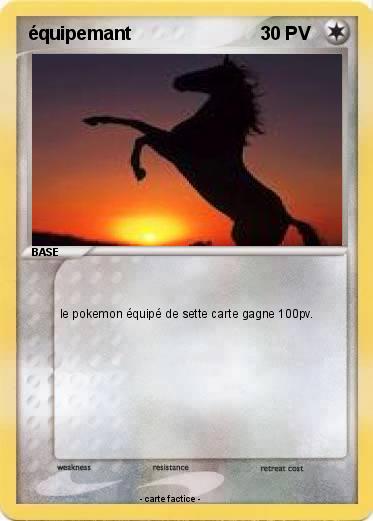 Pokemon équipemant