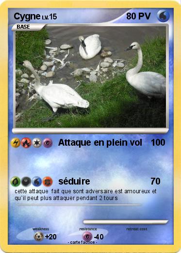 Pokemon Cygne