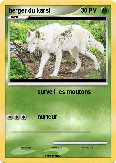 Pokemon berger du karst