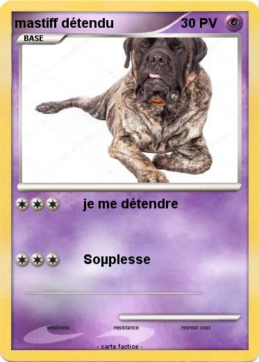 Pokemon mastiff détendu
