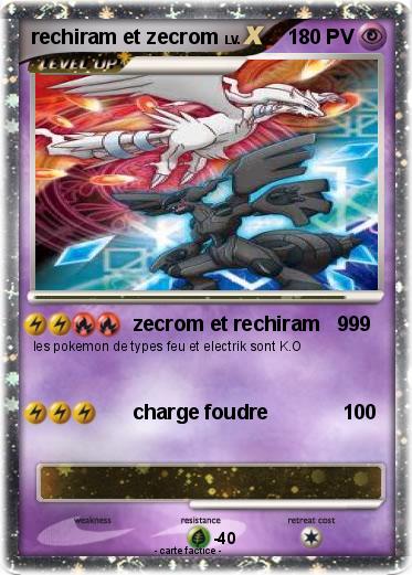 Pokemon rechiram et zecrom