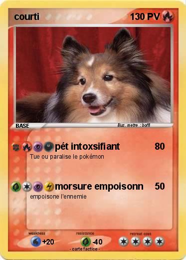 Pokemon courti