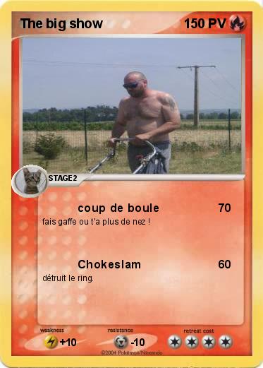 Pokemon The big show