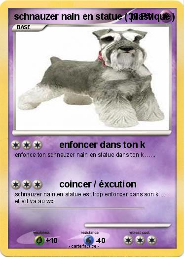 Pokemon schnauzer nain en statue ( plastique )