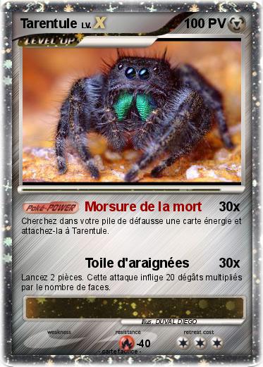 Pokemon Tarentule