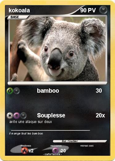 Pokemon kokoala