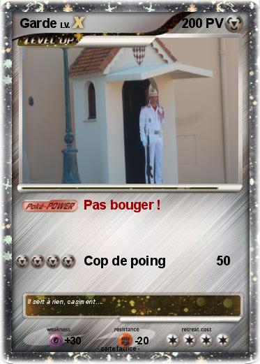 Pokemon Garde