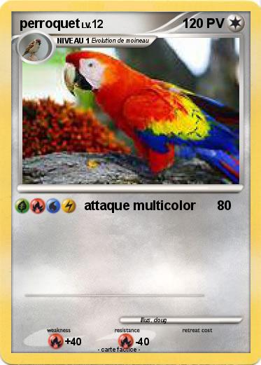 Pokemon perroquet