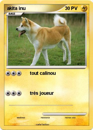 Pokemon akita inu