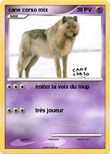 Pokemon cane corso mix