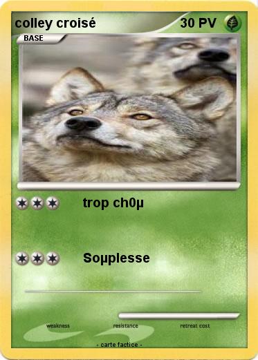 Pokemon colley croisé