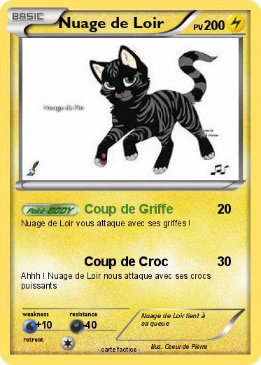 Pokemon Nuage de Loir