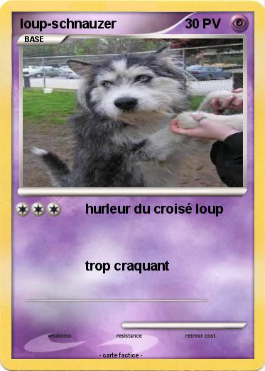 Pokemon loup-schnauzer