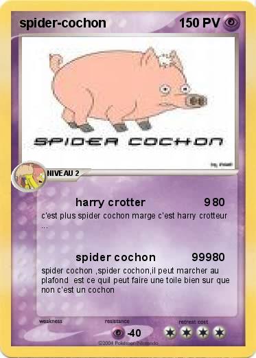 Pokemon spider-cochon