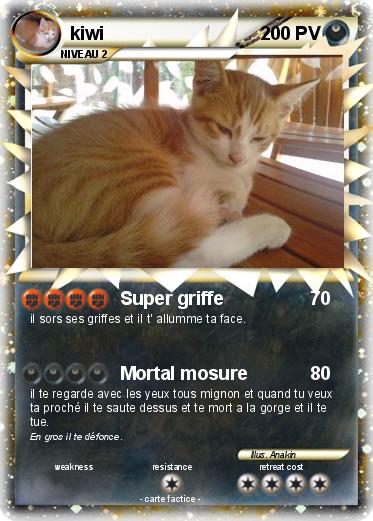 Pokemon kiwi