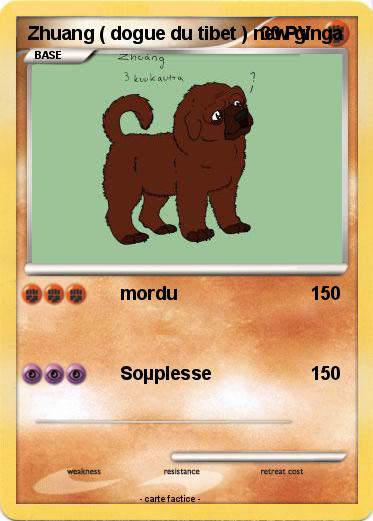 Pokemon Zhuang ( dogue du tibet ) new ginga