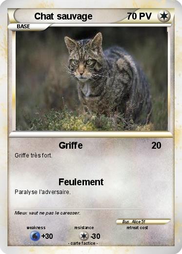 Pokemon Chat sauvage
