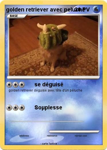 Pokemon golden retriever avec peluche