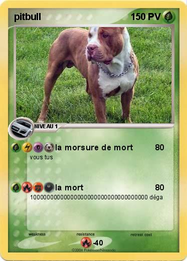 Pokemon pitbull