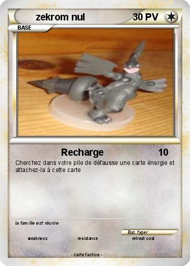 Pokemon zekrom nul