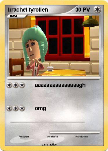 Pokemon brachet tyrolien