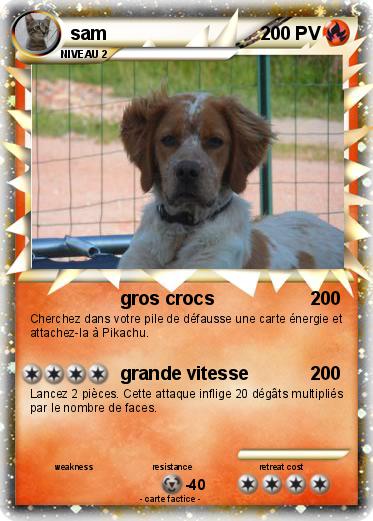 Pokemon sam