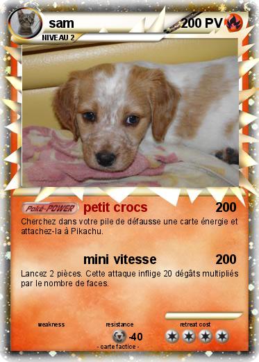 Pokemon sam