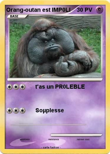 Pokemon Orang-outan est IMP0LI
