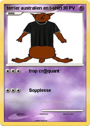 Pokemon terrier australien en t-shirt