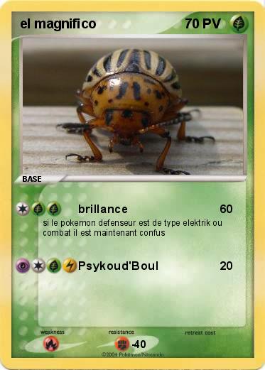 Pokemon el magnifico