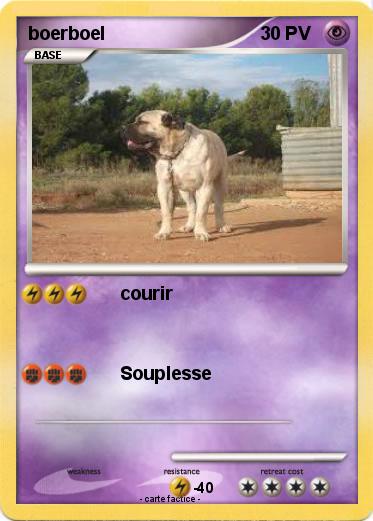 Pokemon boerboel