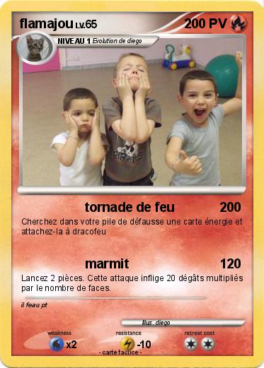 Pokemon flamajou