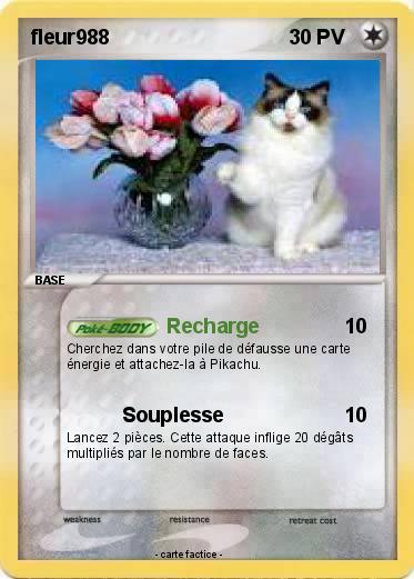 Pokemon fleur988
