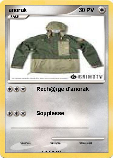 Pokemon anorak