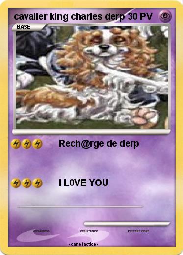 Pokemon cavalier king charles derp
