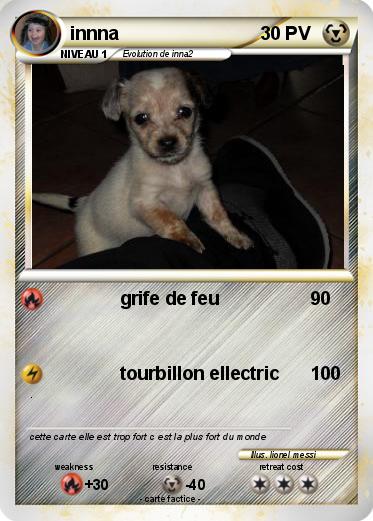 Pokemon innna