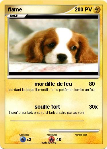 Pokemon flame