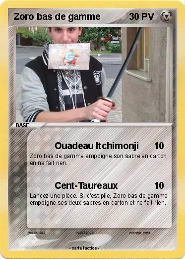 Pokemon Zoro bas de gamme